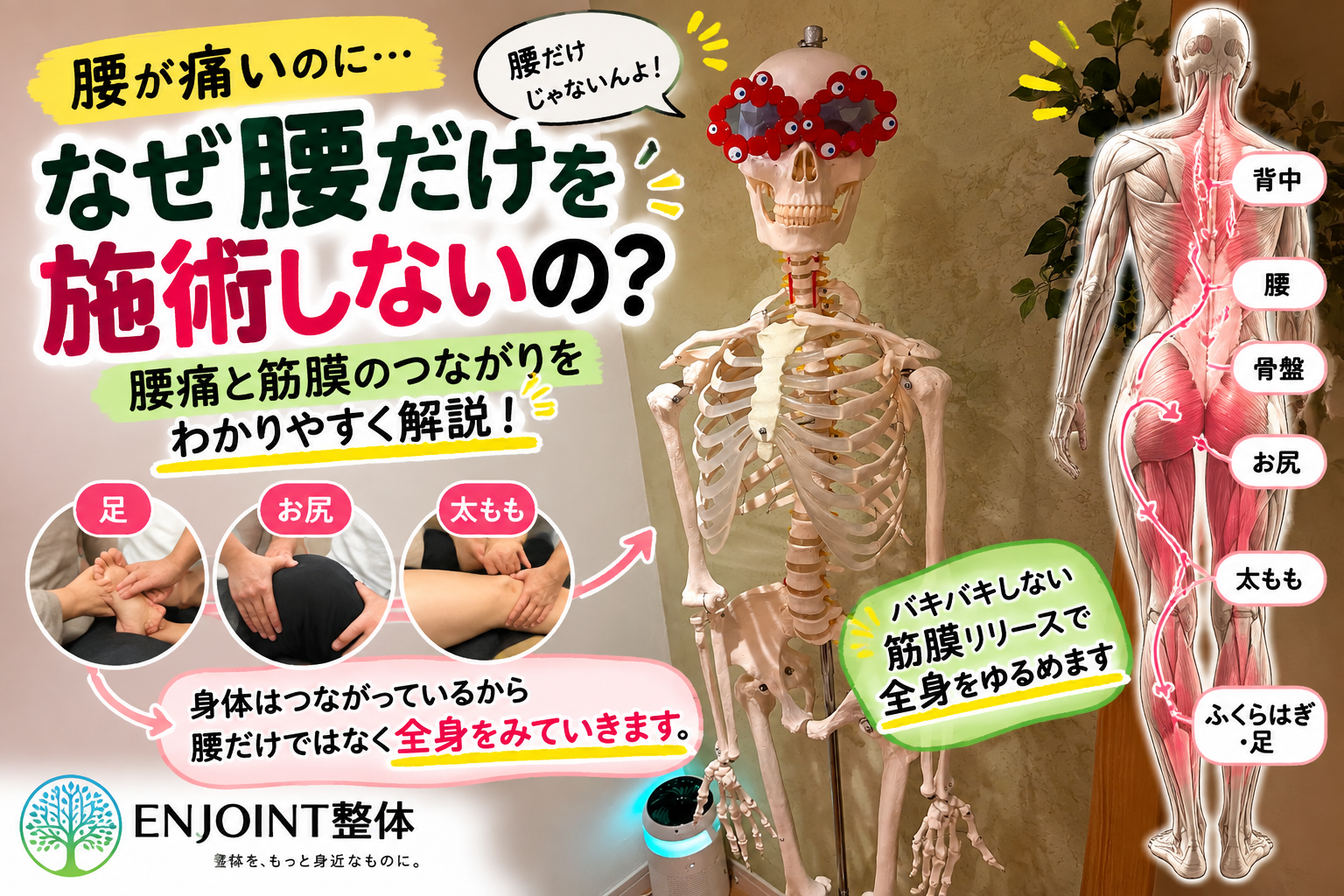 腰痛と筋膜のつながり｜腰だけを施術しない理由【松山市ENJOINT整体】